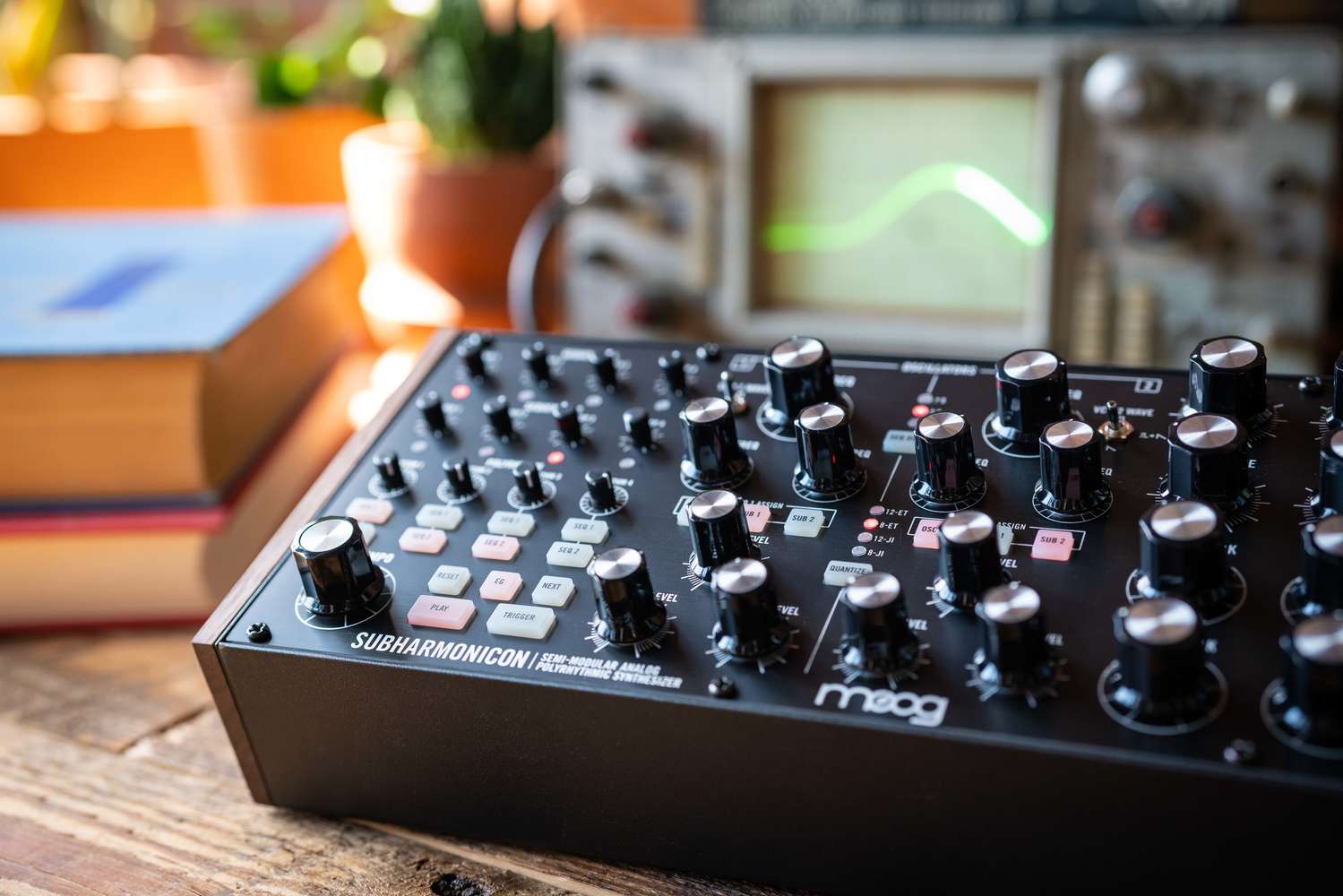 Subharmonicon | Moog